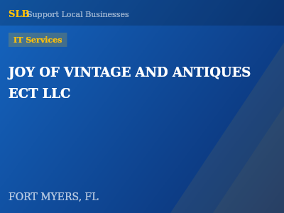 JOY OF VINTAGE AND ANTIQUES ECT LLC — IT Services in FORT MYERS, FL