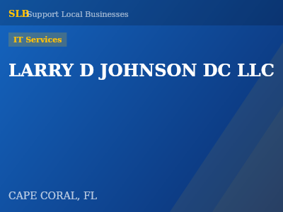 LARRY D JOHNSON DC LLC — IT Services in CAPE CORAL, FL