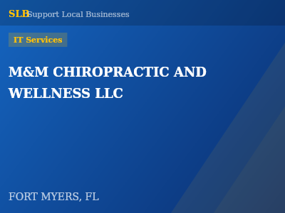 M&M CHIROPRACTIC AND WELLNESS LLC — IT Services in FORT MYERS, FL