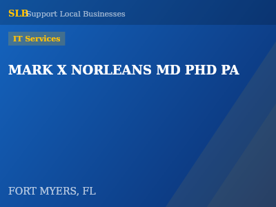 MARK X NORLEANS MD PHD PA — IT Services in FORT MYERS, FL