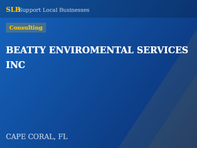 BEATTY ENVIROMENTAL SERVICES INC — Consulting in CAPE CORAL, FL