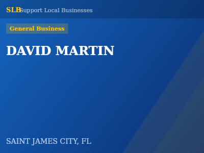 DAVID MARTIN — General Business in SAINT JAMES CITY, FL