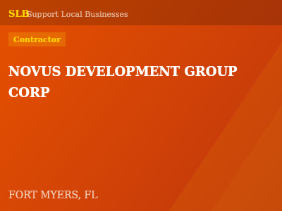 NOVUS DEVELOPMENT GROUP CORP — Contractor in FORT MYERS, FL