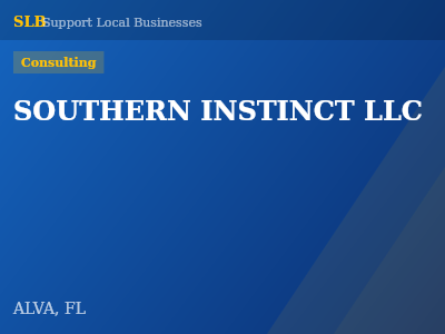 SOUTHERN INSTINCT LLC — Consulting in ALVA, FL