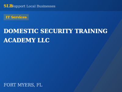 DOMESTIC SECURITY TRAINING ACADEMY LLC — IT Services in FORT MYERS, FL
