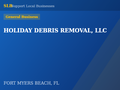 HOLIDAY DEBRIS REMOVAL, LLC — General Business in FORT MYERS BEACH, FL