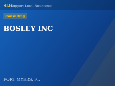 BOSLEY INC — Consulting in FORT MYERS, FL