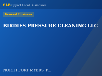 BIRDIES PRESSURE CLEANING LLC — General Business in NORTH FORT MYERS, FL