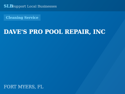 DAVE'S PRO POOL REPAIR, INC — Cleaning Service in FORT MYERS, FL