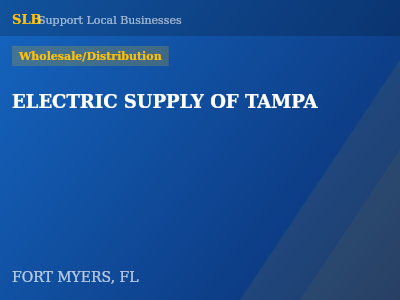 ELECTRIC SUPPLY OF TAMPA — Wholesale/Distribution in FORT MYERS, FL