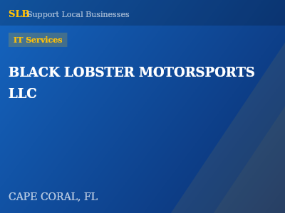 BLACK LOBSTER MOTORSPORTS LLC — IT Services in CAPE CORAL, FL