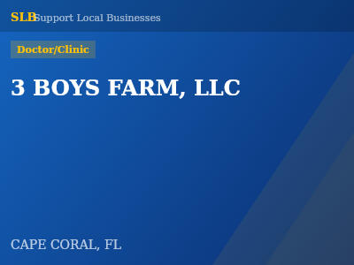 3 BOYS FARM, LLC — Doctor/Clinic in CAPE CORAL, FL