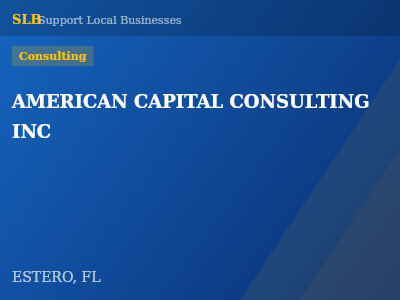 AMERICAN CAPITAL CONSULTING INC — Consulting in ESTERO, FL