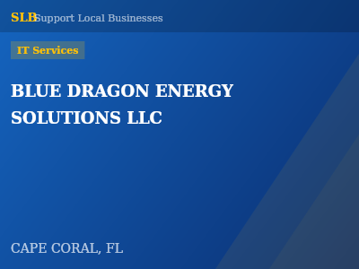 BLUE DRAGON ENERGY SOLUTIONS LLC — IT Services in CAPE CORAL, FL