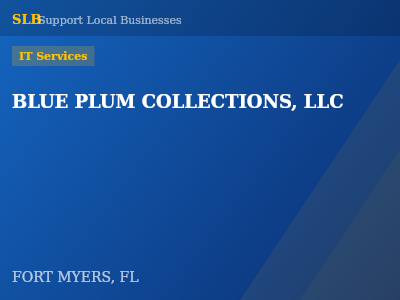 BLUE PLUM COLLECTIONS, LLC — IT Services in FORT MYERS, FL