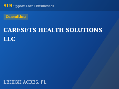 CARESETS HEALTH SOLUTIONS LLC — Consulting in LEHIGH ACRES, FL