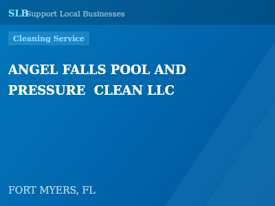 ANGEL FALLS POOL AND PRESSURE  CLEAN LLC — Cleaning Service in FORT MYERS, FL