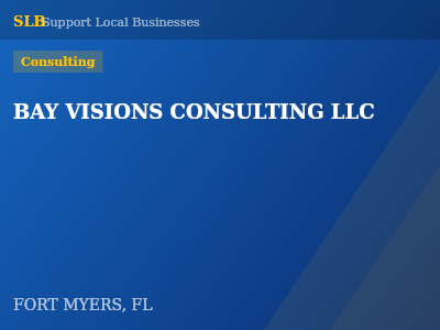 BAY VISIONS CONSULTING LLC — Consulting in FORT MYERS, FL
