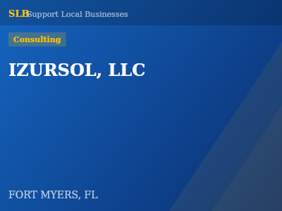 IZURSOL, LLC — Consulting in FORT MYERS, FL