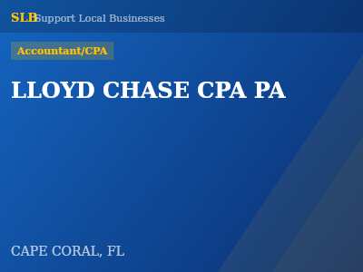 LLOYD CHASE CPA PA — Accountant/CPA in CAPE CORAL, FL