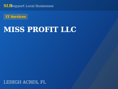 MISS PROFIT LLC — IT Services in LEHIGH ACRES, FL