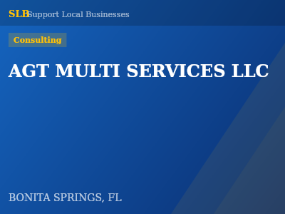 AGT MULTI SERVICES LLC — Consulting in BONITA SPRINGS, FL