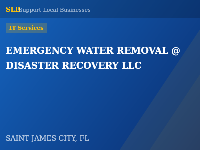 EMERGENCY WATER REMOVAL @ DISASTER RECOVERY LLC — IT Services in SAINT JAMES CITY, FL