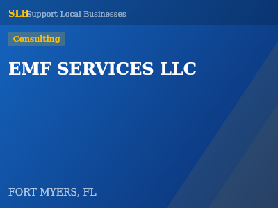 EMF SERVICES LLC — Consulting in FORT MYERS, FL