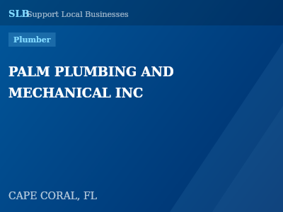 PALM PLUMBING AND MECHANICAL INC — Plumber in CAPE CORAL, FL