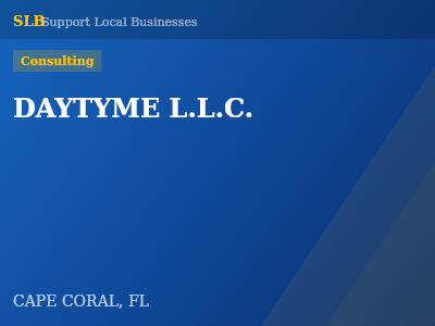 DAYTYME L.L.C. — Consulting in CAPE CORAL, FL
