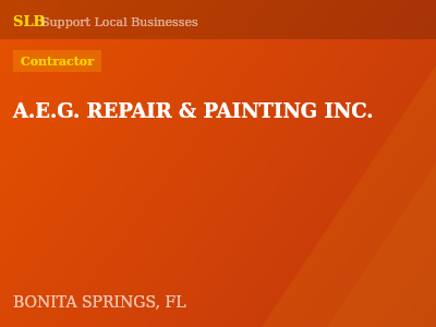 A.E.G. REPAIR & PAINTING INC. — Contractor in BONITA SPRINGS, FL