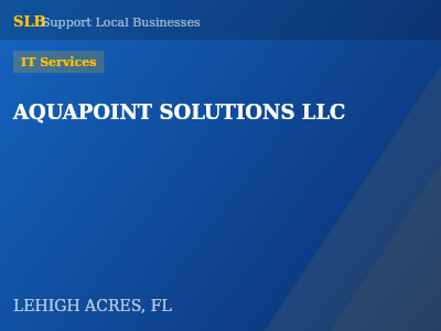 AQUAPOINT SOLUTIONS LLC — IT Services in LEHIGH ACRES, FL