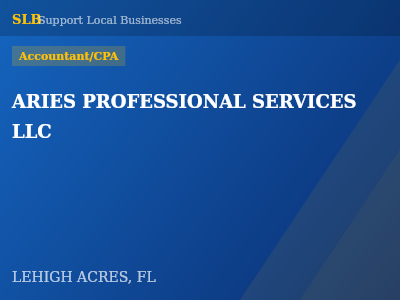 ARIES PROFESSIONAL SERVICES LLC — Accountant/CPA in LEHIGH ACRES, FL
