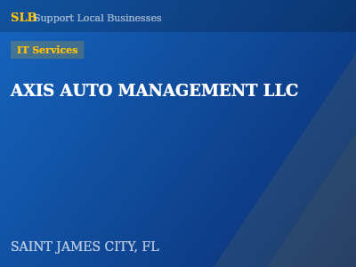 AXIS AUTO MANAGEMENT LLC — IT Services in SAINT JAMES CITY, FL