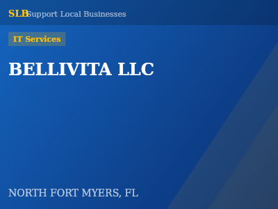 BELLIVITA LLC — IT Services in NORTH FORT MYERS, FL