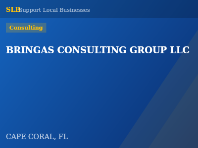 BRINGAS CONSULTING GROUP LLC — Consulting in CAPE CORAL, FL