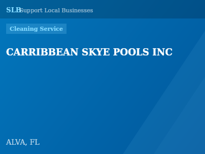 CARRIBBEAN SKYE POOLS INC — Cleaning Service in ALVA, FL