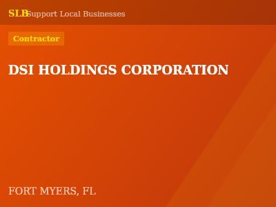 DSI HOLDINGS CORPORATION — Contractor in FORT MYERS, FL