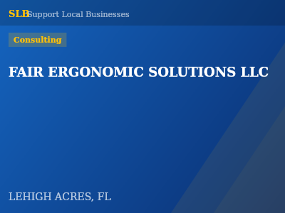FAIR ERGONOMIC SOLUTIONS LLC — Consulting in LEHIGH ACRES, FL