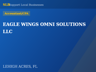EAGLE WINGS OMNI SOLUTIONS LLC — Accountant/CPA in LEHIGH ACRES, FL
