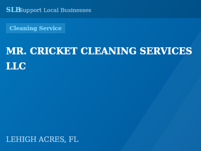 MR. CRICKET CLEANING SERVICES LLC — Cleaning Service in LEHIGH ACRES, FL
