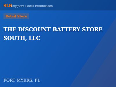 THE DISCOUNT BATTERY STORE SOUTH, LLC — Retail Store in FORT MYERS, FL