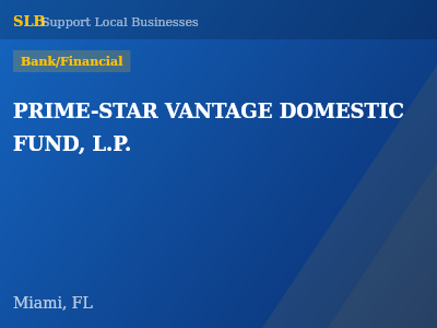 PRIME-STAR VANTAGE DOMESTIC FUND, L.P. — Bank/Financial in Miami, FL