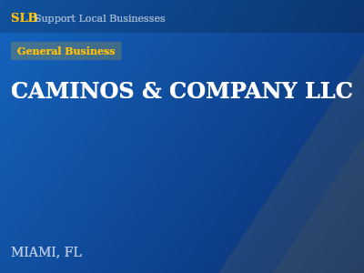 CAMINOS & COMPANY LLC — General Business in MIAMI, FL
