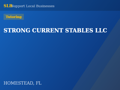 STRONG CURRENT STABLES LLC — Tutoring in HOMESTEAD, FL