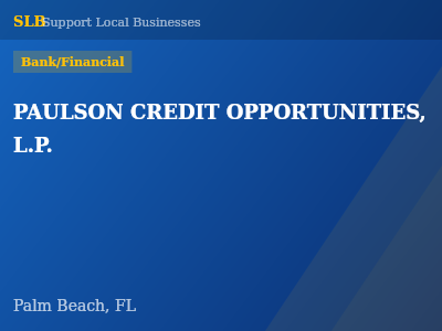 PAULSON CREDIT OPPORTUNITIES, L.P. — Bank/Financial in Palm Beach, FL