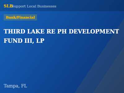 THIRD LAKE RE PH DEVELOPMENT FUND III, LP — Bank/Financial in Tampa, FL