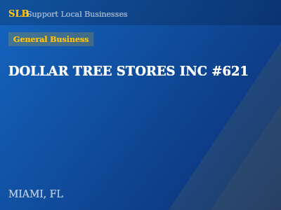 DOLLAR TREE STORES INC #621 — General Business in MIAMI, FL