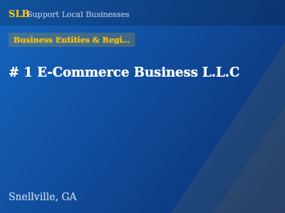 # 1 E-Commerce Business L.L.C — Business Entities & Registrations in Snellville, GA
