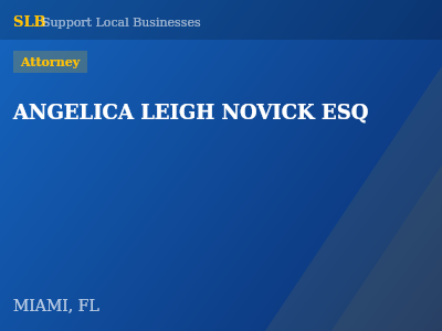 ANGELICA LEIGH NOVICK ESQ — Attorney in MIAMI, FL